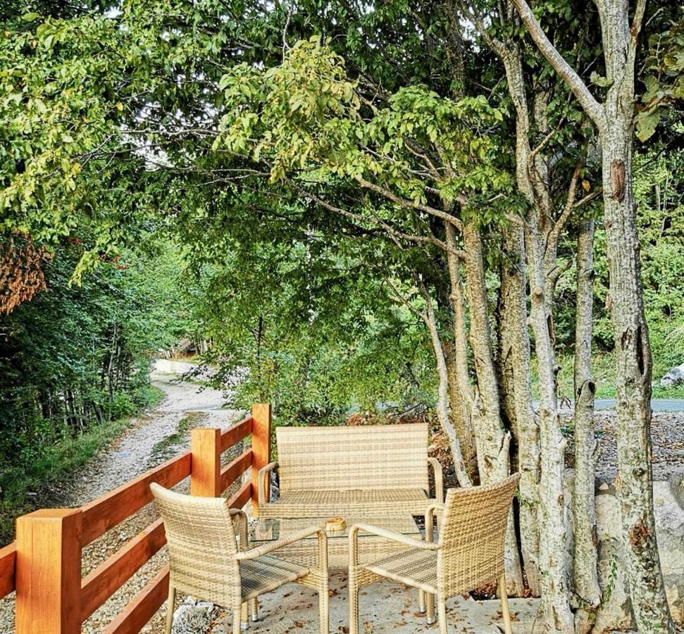 Appartamento Oasis Of Peace Cetinje Esterno foto
